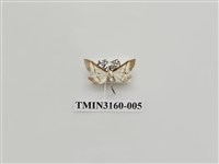 藏品(螟蛾323)的圖片